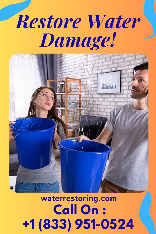 water restoration Water Removal & Associates Freeport